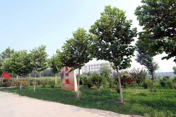 衡水科技工程學(xué)校怎么樣？是國(guó)辦院校嗎？就業(yè)有保障嗎？