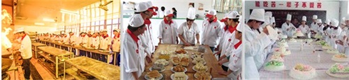 廚師需要學(xué)習(xí)烹飪多少道菜？