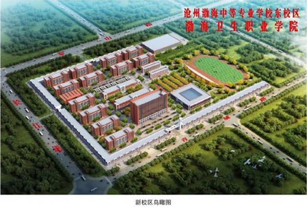 滄州學(xué)幼師為什么選擇滄州渤海專修學(xué)院？