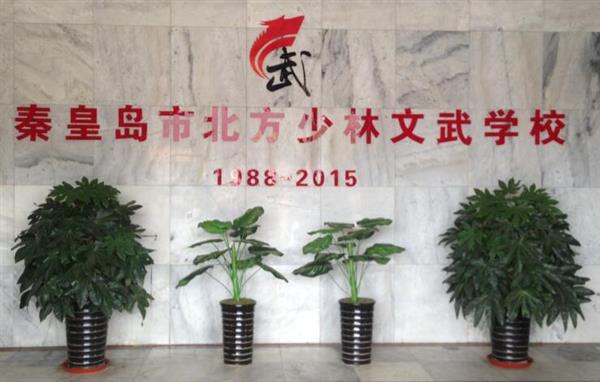 秦皇島北方少林文武學校就業(yè)如何？這答案你放心！