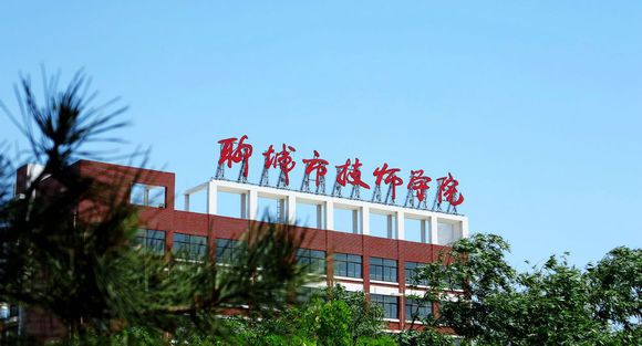 聊城市技師學(xué)院有計(jì)算機(jī)專業(yè)嗎？