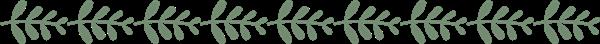 石家莊平安醫(yī)學(xué)中等專業(yè)學(xué)校地址在哪？