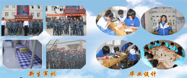 青島海信中心聯(lián)校收費(fèi)標(biāo)準(zhǔn)是什么？