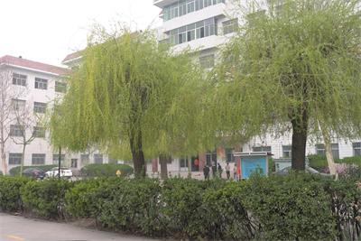 保定哪所正規(guī)的學(xué)校有鐵路專業(yè)？   