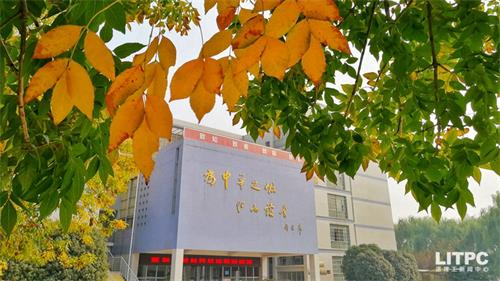 洛陽(yáng)學(xué)電子商務(wù)去哪里？學(xué)電子商務(wù)去洛陽(yáng)哪所學(xué)校？