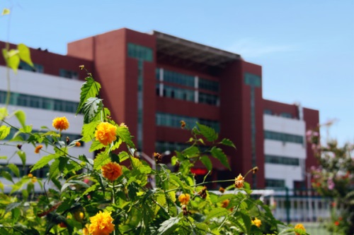 通過單招考取大學(xué)有哪些優(yōu)勢？