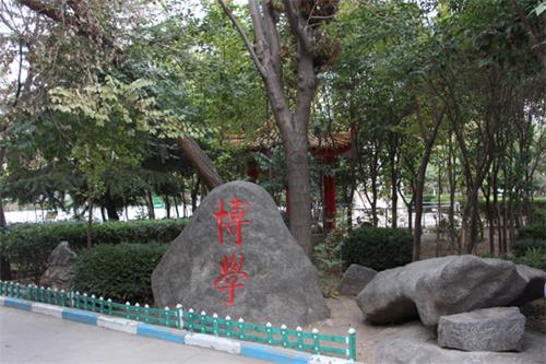  山東人民專修學(xué)院怎樣安排學(xué)生就業(yè)？
