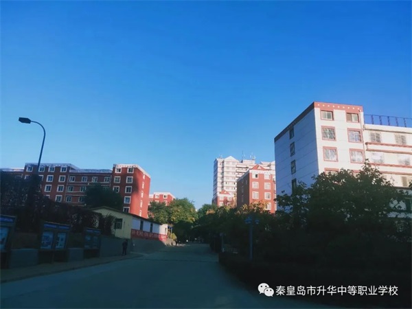 學(xué)習(xí)電子商務(wù)專業(yè)畢業(yè)后有哪些就業(yè)方向？