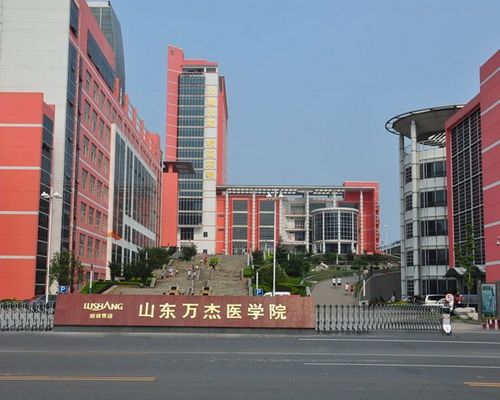 山東萬杰醫(yī)學(xué)院優(yōu)勢有哪些？