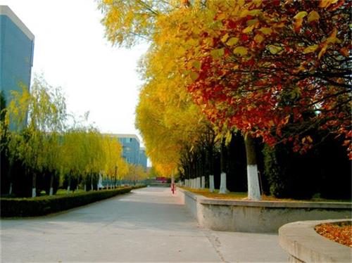 北京現(xiàn)代體育學(xué)院、航空乘務(wù)學(xué)院設(shè)施好嗎？