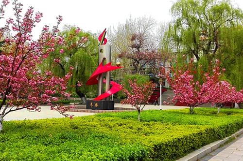 選擇齊魯技術(shù)學院學幼師怎么樣？
