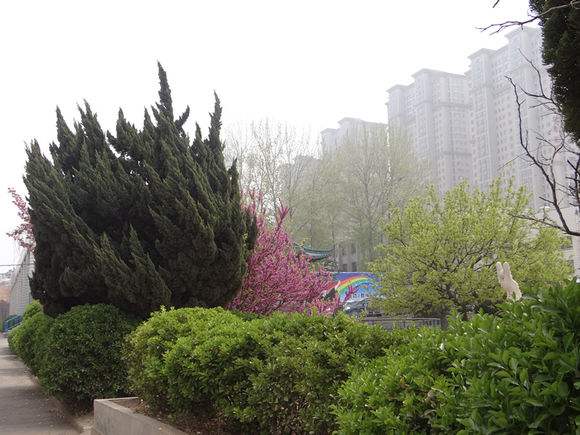 煙臺天虹學(xué)院怎么樣？