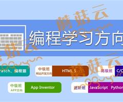 孩子為什么要盡早學(xué)習(xí)少兒編程。濟寧蘑菇云少兒編程